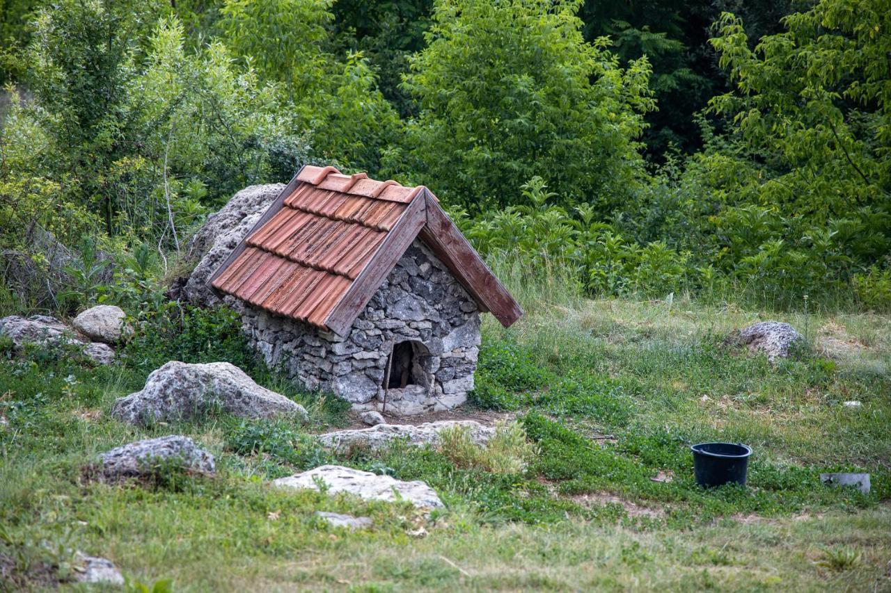 Casa Agricultorului Varzari Butuceny Exteriör bild