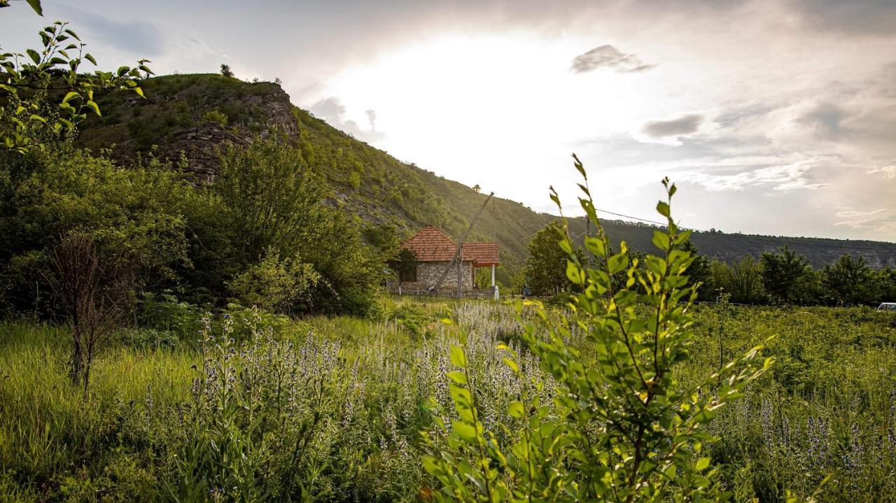 Casa Agricultorului Varzari Butuceny Exteriör bild