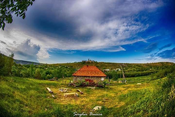 Casa Agricultorului Varzari Butuceny Exteriör bild