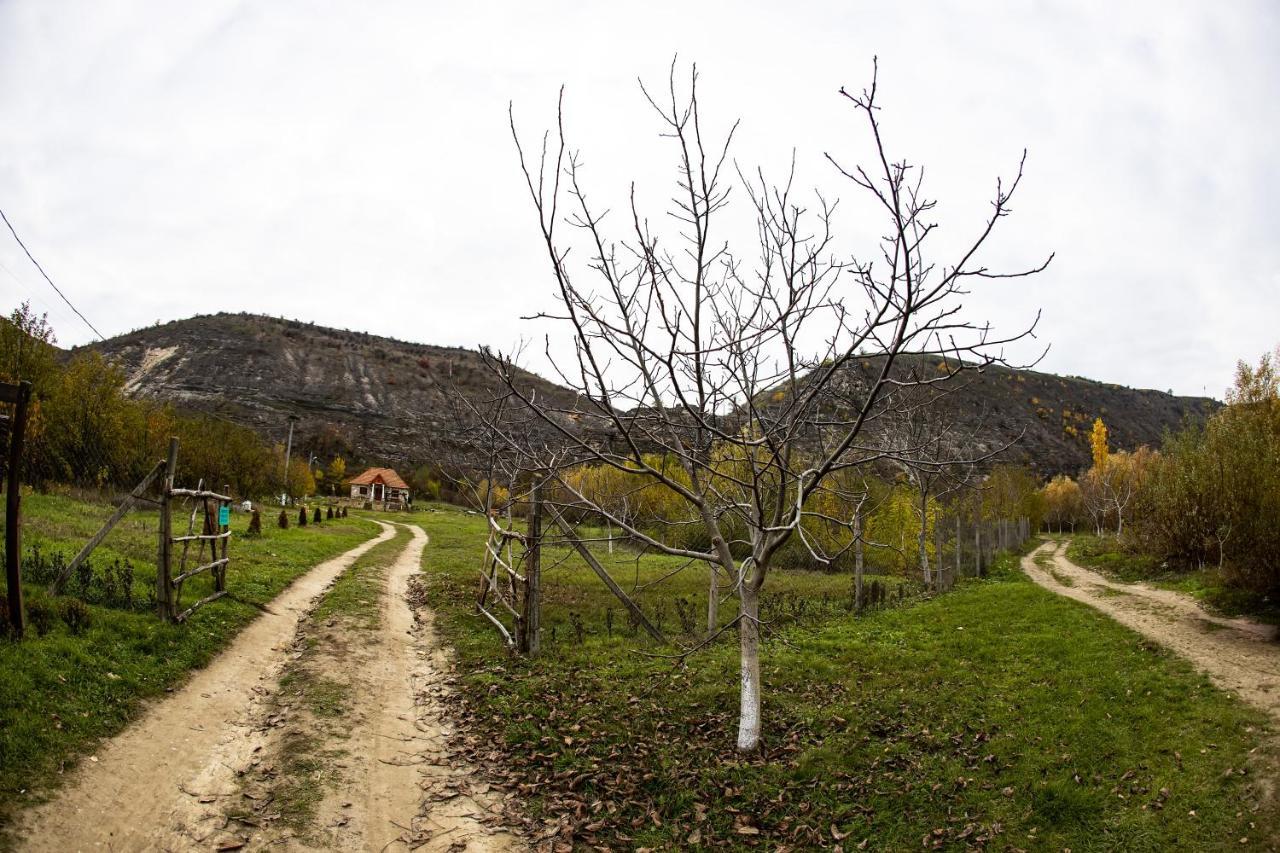 Casa Agricultorului Varzari Butuceny Exteriör bild