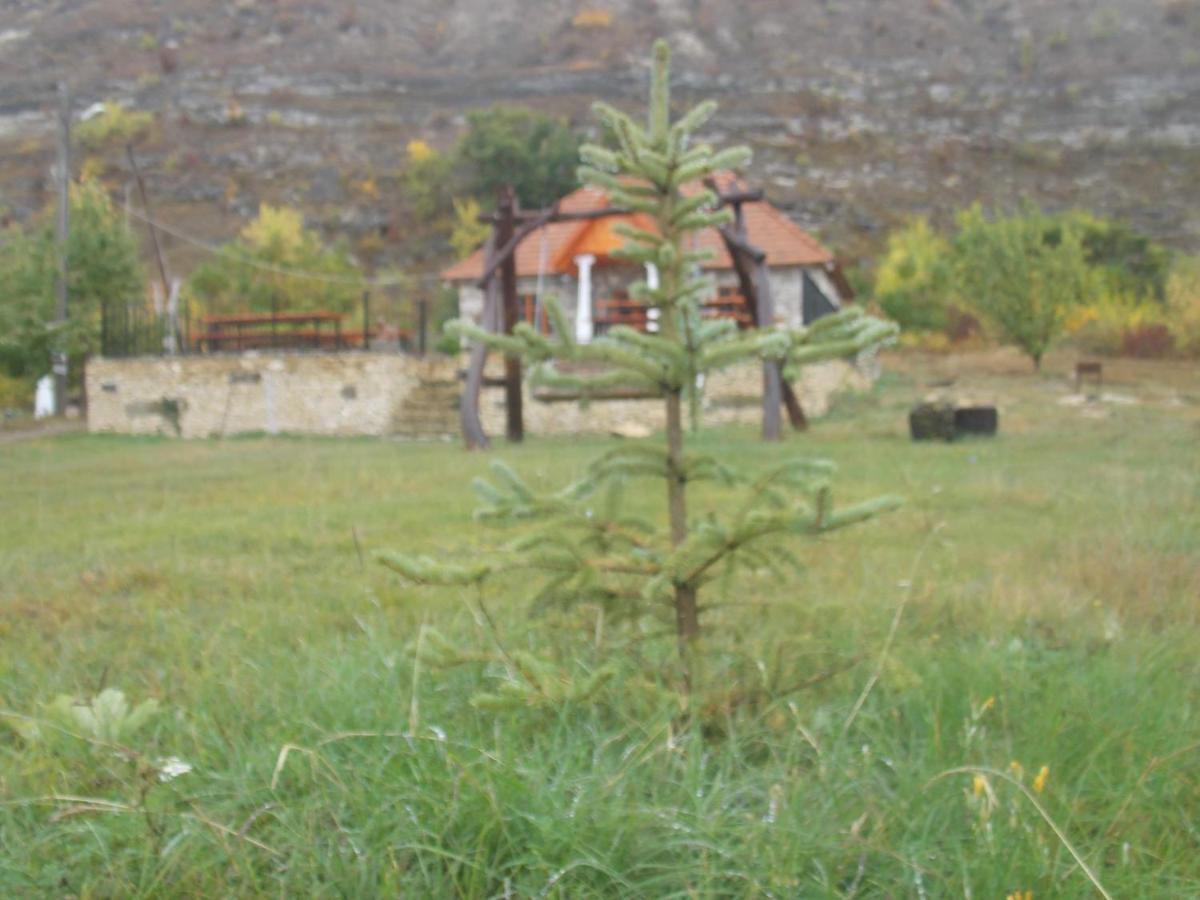 Casa Agricultorului Varzari Butuceny Exteriör bild